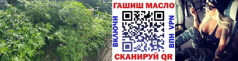 Купить где  Нижний Новгород  ТГК вейп 
