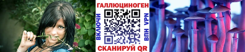 Купить где  Нижний Новгород  Галлюциногенные грибы Cubensis 